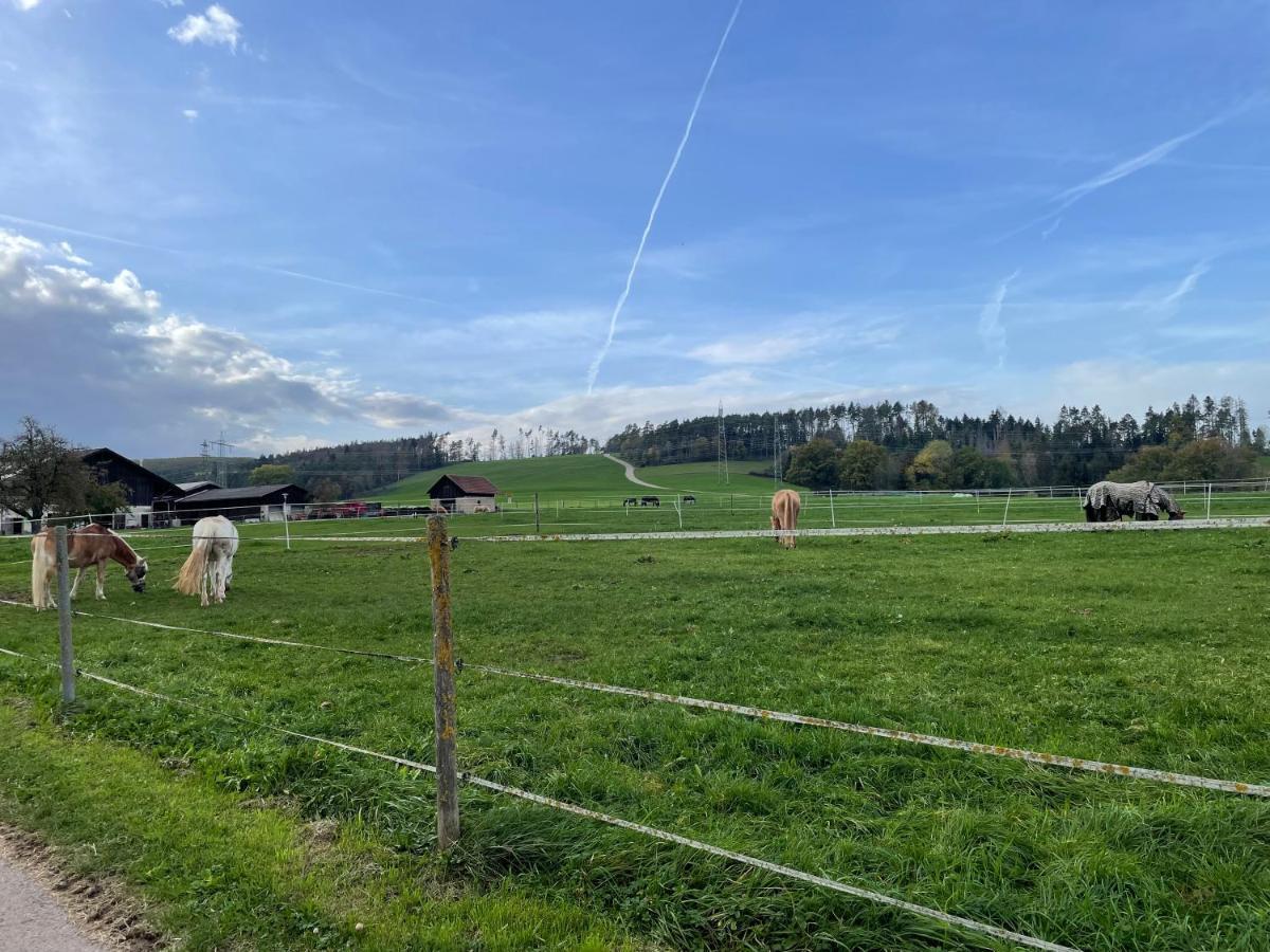 Ferien Im Schwarzwald - Ruhe & Naturverbunden Weilheim Экстерьер фото