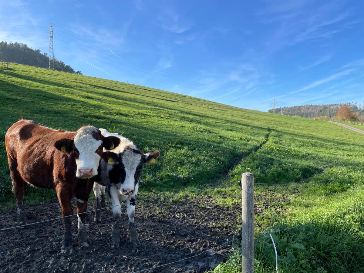 Ferien Im Schwarzwald - Ruhe & Naturverbunden Weilheim Экстерьер фото