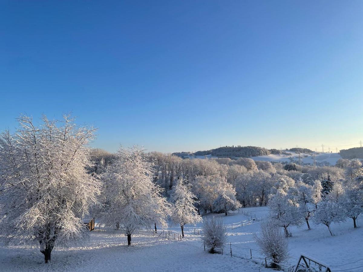 Ferien Im Schwarzwald - Ruhe & Naturverbunden Weilheim Экстерьер фото